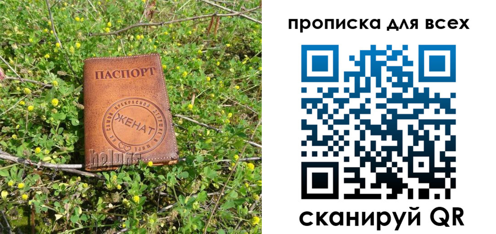 прописка поиск в Алтайском крае